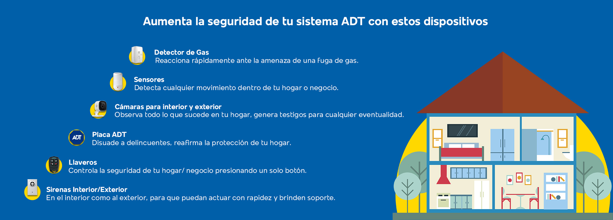 Protección Completa